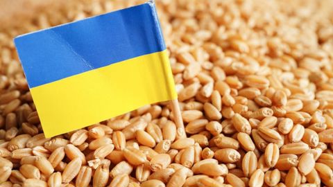 « Entre décembre et janvier, l'Ukraine a exporté vers l'Europe plus d'un million de tonnes de blé tendre, l'équivalent avant la guerre du quota annuel d'exportations vers l'UE », pointe le syndicat.