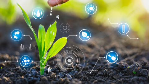 Gestion de l’eau en agriculture, optimiser et préserver la ressource Gestion de l’eau en agriculture, optimiser et préserver la ressource