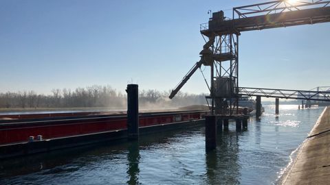 Les analystes se veulent prudents : « l'arrêt de la chute des cours du blé et du maïs ne signifie pas nécessairement que les céréales, et le blé en particulier, aient atteint un plancher ». Les analystes se veulent prudents : « l'arrêt de la chute des cours du blé et du maïs ne signifie pas nécessairement que les céréales, et le blé en particulier, aient atteint un plancher ».