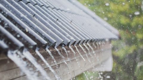 La France a connu entre décembre et fin février un excédent de pluie de 10 % en moyenne. La France a connu entre décembre et fin février un excédent de pluie de 10 % en moyenne.