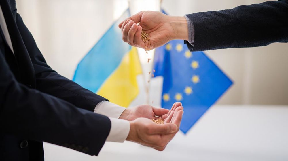 Les eurodéputés se sont prononcés pour reconduire l'exemption des droits de douanes pour les céréales venues d'Ukraine, mais en instaurant un "frein d'urgence" pour stabiliser les importations.