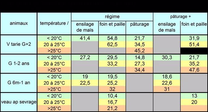 Consommation eau vaches laitières