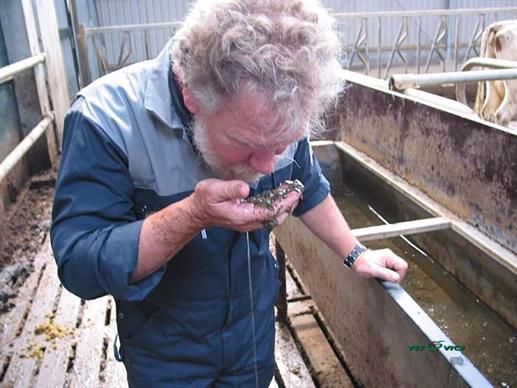 Eau propreté vache