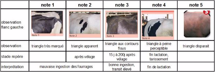 Note d'état pour l'observation 