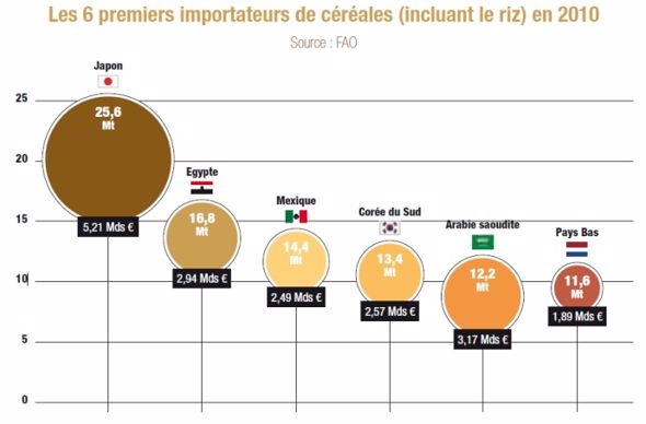 Les principaux importateurs de céréales dans le monde.