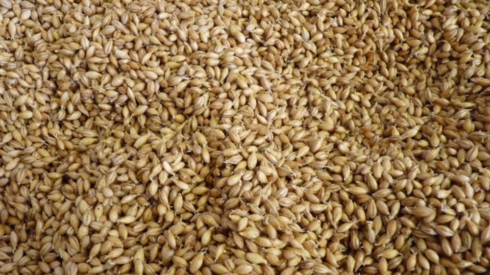La France se place bien à la production mais peine à la consommation...