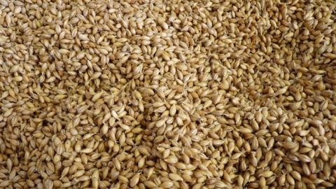 La France se place bien à la production mais peine à la consommation...