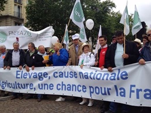 Manifestation Fnsea du 16 juin 2013 à Paris pour sauver l'élevage.