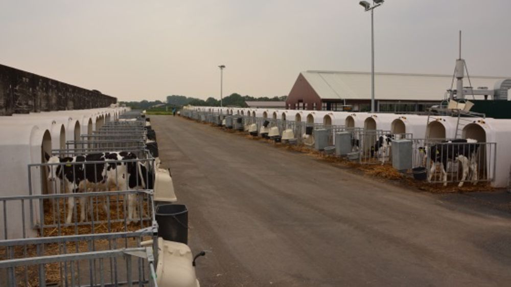 En "veaux"-tu, en voilà ! Juste pour avoir une idée du nombre de veaux nés ces trois dernières semaines ! (©Terre-net Média) 