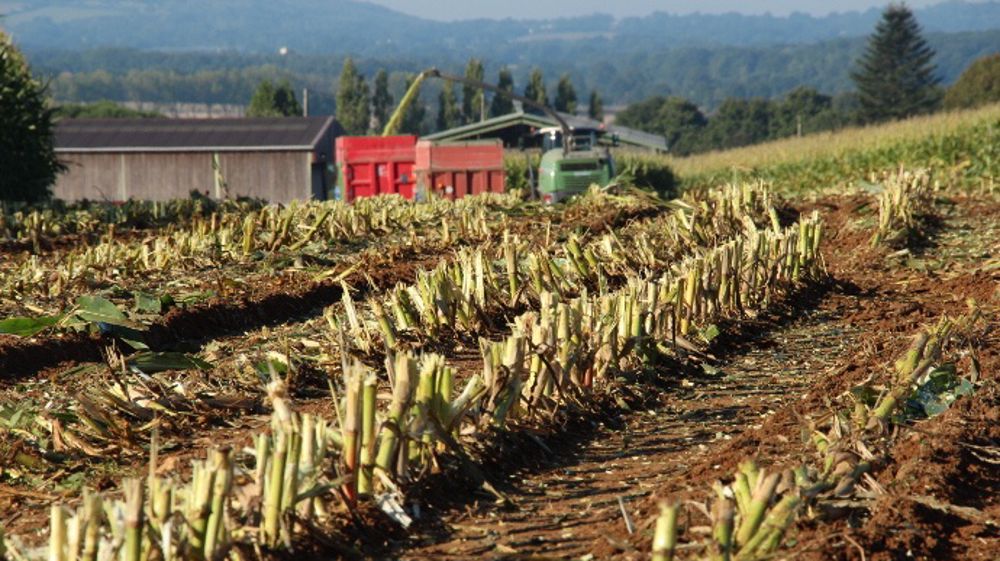 Evaluez le coût de vos chantiers d'ensilage