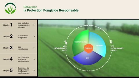 Syngenta lance la démarche protection fongicide responsable avec le souhait que perdurent les solutions disponibles de lutte contre les maladies des céréales. (©DR) Syngenta lance la démarche protection fongicide responsable avec le souhait que perdurent les solutions disponibles de lutte contre les maladies des céréales. (©DR)