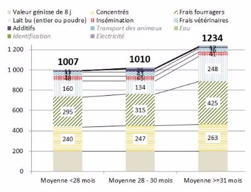 cout prod génisses