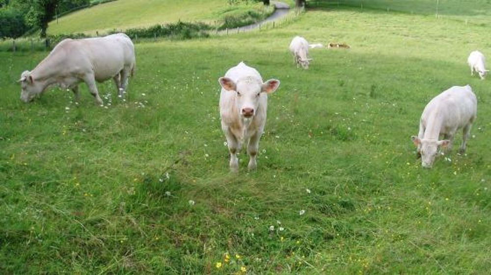 271 M€ de produits laitiers importés pèsent sur le solde commercial