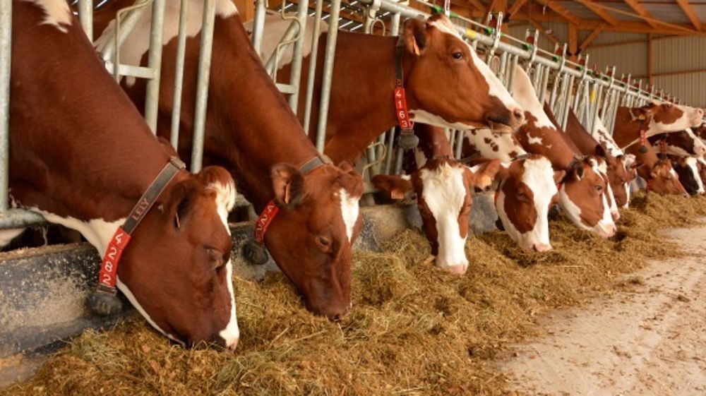 Passer sous la barre des 130 €/1.000 litres