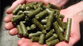 16 millions €/an d’aide couplée pour produire 90.000 ha de luzerne déshydratée 16 millions €/an d’aide couplée pour produire 90.000 ha de luzerne déshydratée