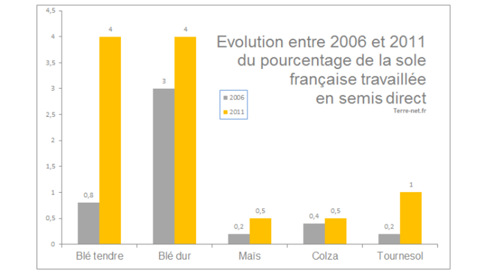 Il atteint 4 % des surfaces cultivées en blé tendre