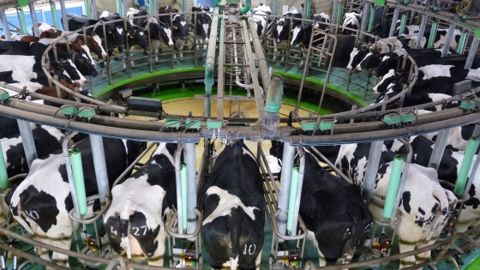 Les mille litres de lait payés 358,6 € en octobre