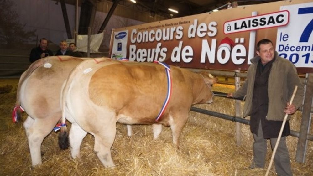 A Laissac le 7 décembre : Concours « des Bœufs » de Noël A Laissac le 7 décembre : Concours « des Bœufs » de Noël