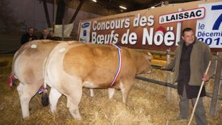 A Laissac le 7 décembre : Concours « des Bœufs » de Noël A Laissac le 7 décembre : Concours « des Bœufs » de Noël