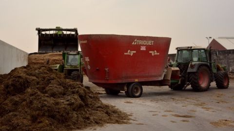 Plus de 60 % des éleveurs optent pour la ration mélangée