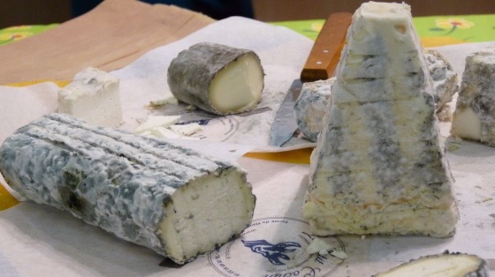 Bonne tenue des produits laitiers et des bovins vifs exportés