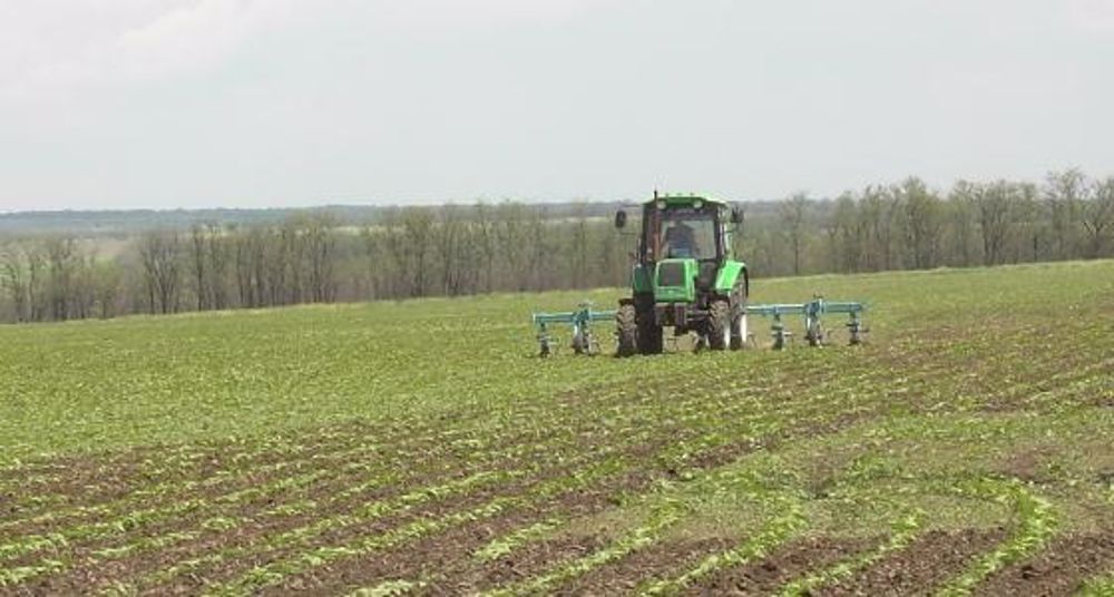 Des conditions de développement favorables aux blés dans l’hémisphère Nord