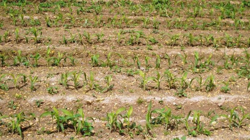 De l'humidité au sec en Amérique du Sud
