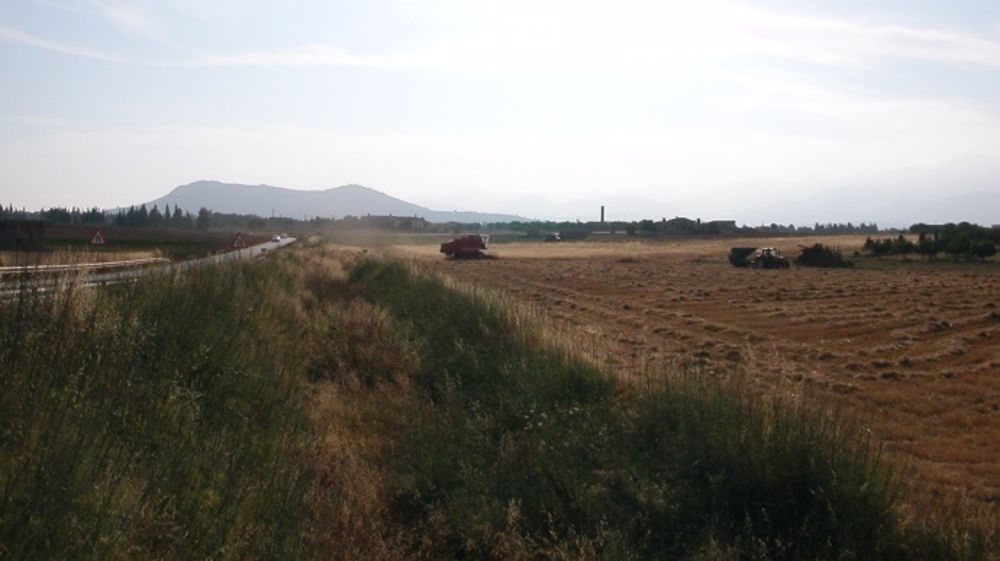 Bassin méditerranéen : un nouveau partenariat pour la sécurité alimentaire