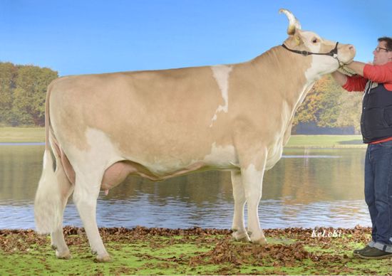 KERSTIN (VALEDINO x EROS) à Hostettler Toni, 3783 Grund bei Gstaad