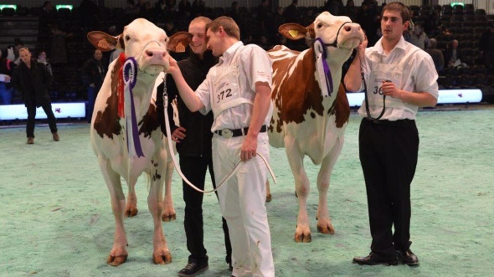 Loïc Ligier : « Ca n’arrive qu’une fois dans une vie ! »