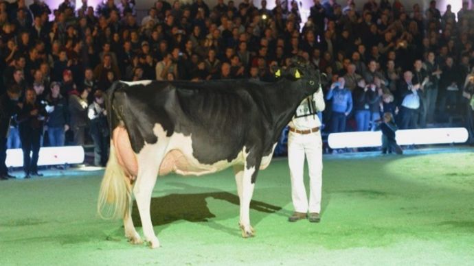 Délicieuse, grande championne