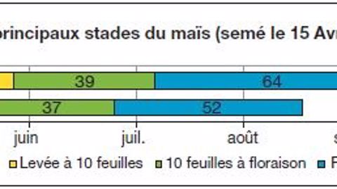 Dans les Landes, la dépendance à l'irrigation va s'accroître