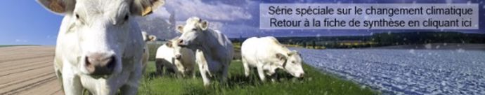 Agriculture et changement climatique