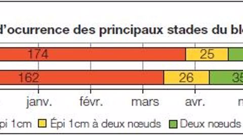 Dans le Cher, les conditions se dégradent pour la culture des céréales