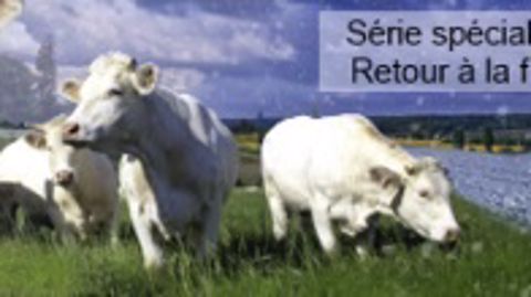 Polyculture-élevage en Meuse : quelles possibilités d’adaptation ? Polyculture-élevage en Meuse : quelles possibilités d’adaptation ?