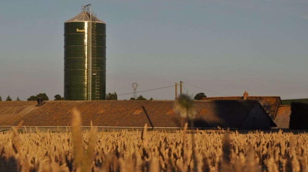 La fabrication d’aliments pour animaux ne cesse de chuter