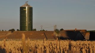 La fabrication d’aliments pour animaux ne cesse de chuter La fabrication d’aliments pour animaux ne cesse de chuter