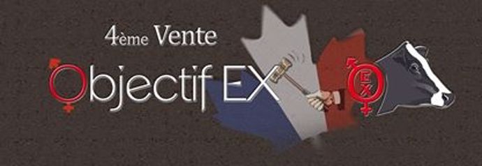 logo Objectif EX
