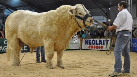 La liste des animaux retenus pour le concours général agricole