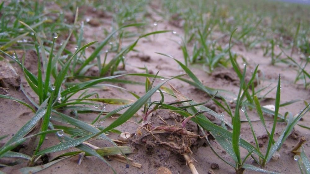 Une situation climatique contrastée en Europe