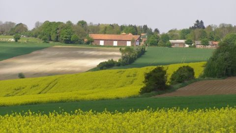Pierre Pagesse, Momagri : « Il est urgent d’inventer une alternative aux Dpu »