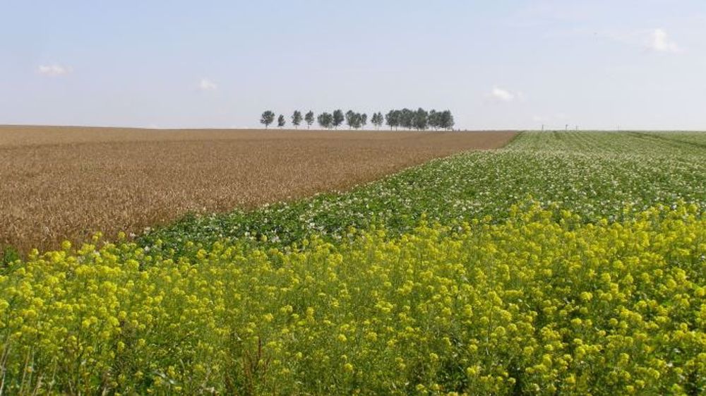 Adoption finale du Farm Bill