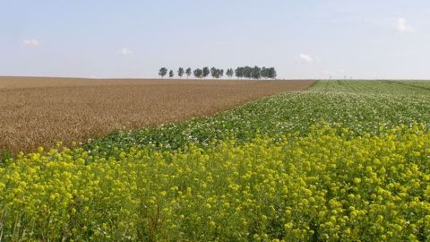 Adoption finale du Farm Bill