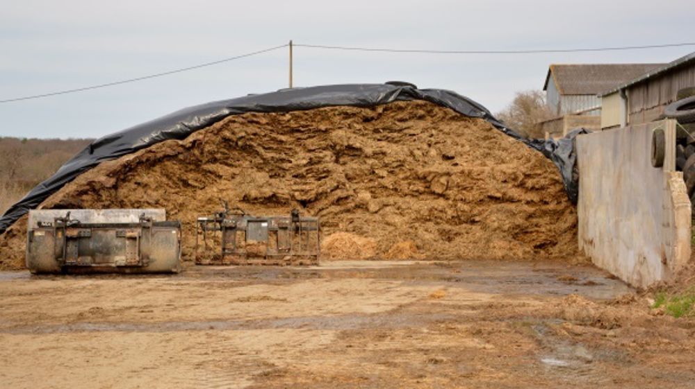 Cinq souches de bactéries dans le conservateur Oceasil Herbe