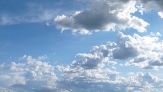 Les conditions météo ont une influence conséquente sur la réussite d'un traitement foliaire.