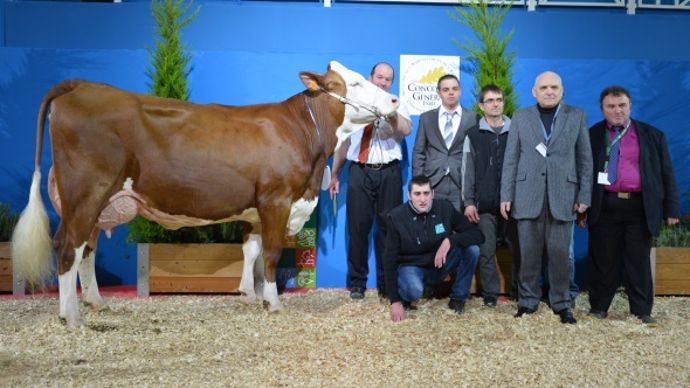 Montbéliarde SIA CGA 2014 Félicia