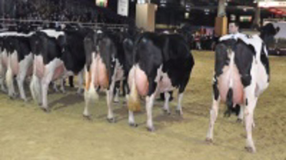 Darcy du Lycée agricole de La Motte Serolex championne des tarines adultes