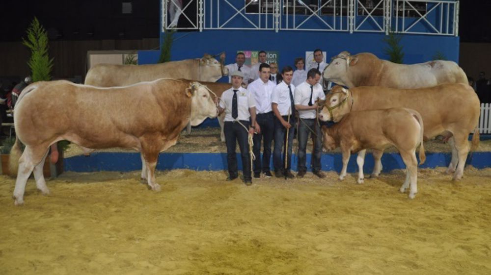 Un grand Gala pour Carmen sur le ring de la Porte de Versailles