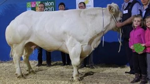 Palmarès du concours général Blanc Bleu