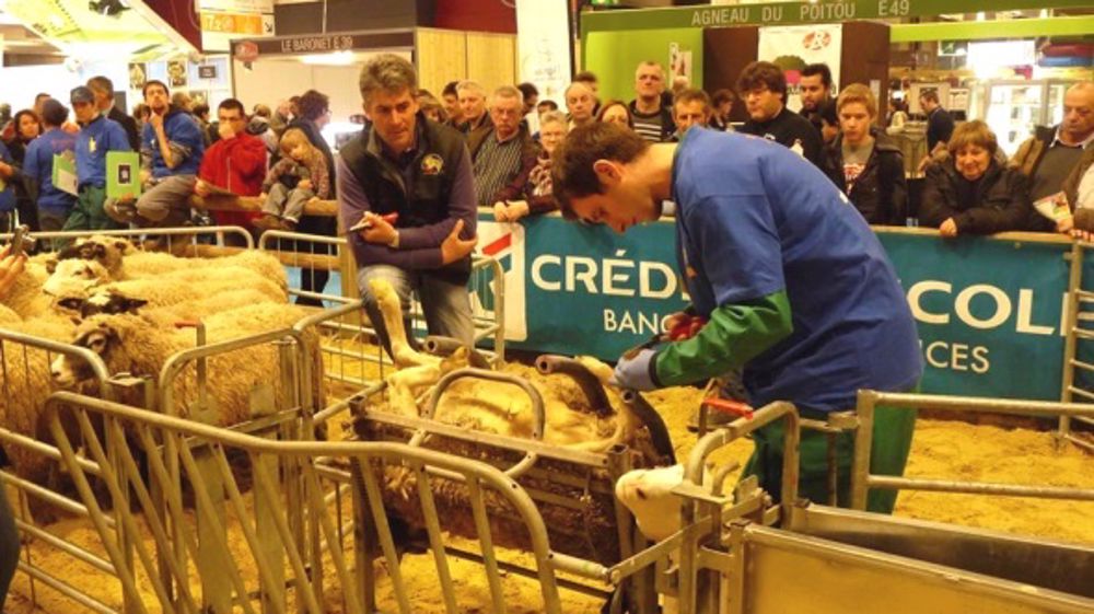 A Paris, le Bas-Alpin Gaël Eyssautier a devancé ses 700 concurrents A Paris, le Bas-Alpin Gaël Eyssautier a devancé ses 700 concurrents